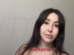 Leiaorgana