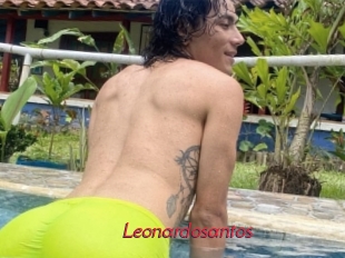 Leonardosantos