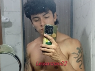 Leosantoro22