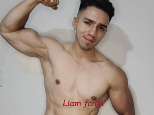 Liam_forest