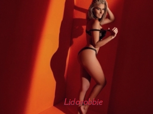 Lidarobbie