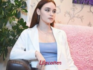 Lilacatten