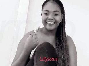 Lillylotus