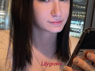 Lilygrows