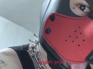 Logan_pup
