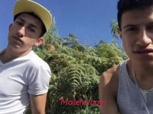 Malehotboys