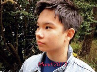 Mandi2013