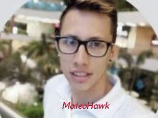 MateoHawk