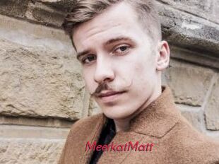 MeerkatMatt