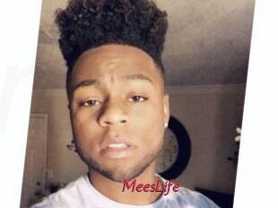 MeesLife