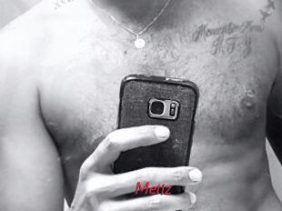Metiz