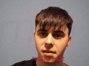 MikeyHuntss22