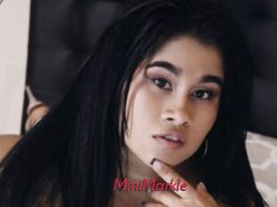 MiniMarkle