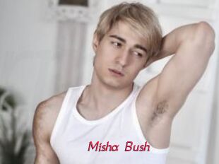 Misha_Bush