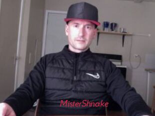 MisterShnake