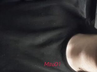 Mito01