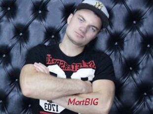 MortBIG
