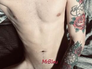 MrBleu