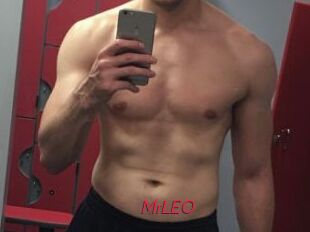 MrLEO