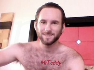 MrTeddy