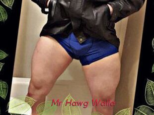 Mr_Hawg_Walla