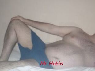 Mr_Hobbs