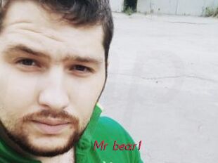 Mr_bear1