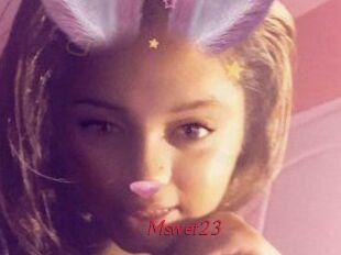 Mswet23