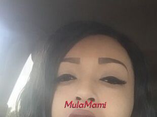 MulaMami