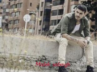 Malek_sabagh