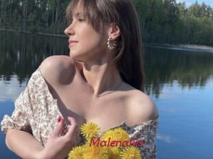 Malenakis