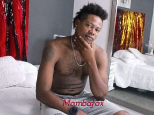Mambafox