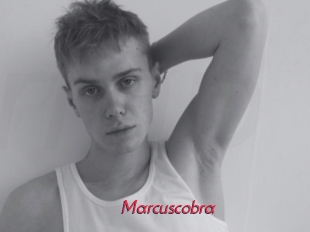 marcuscobra Red Movie Post