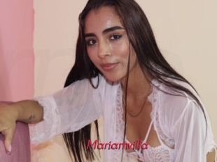 Mariamvilla
