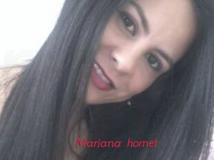 Mariana_hornet