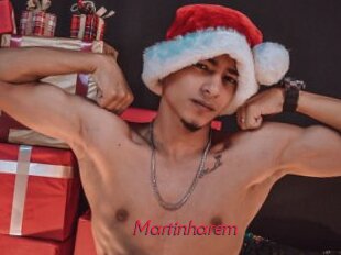 Martinharem