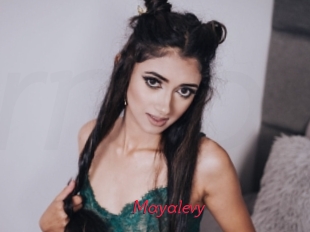 Mayalevy