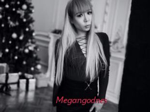 Megangodnes