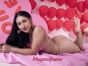 Megannfosterr