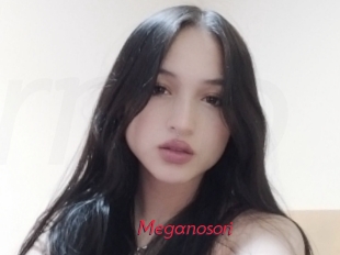Meganosori