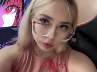 Mellieflaig