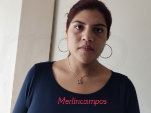 Merlincampos