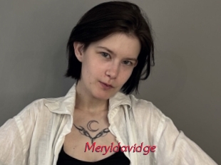 Meryldavidge