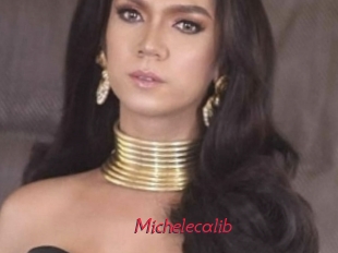 Michelecalib