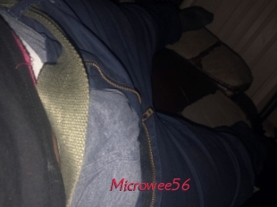 Microwee56