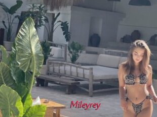 Mileyrey