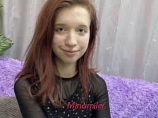 Minamiler