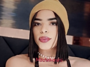 Mitchelvasini