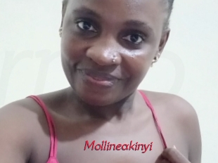 Mollineakinyi