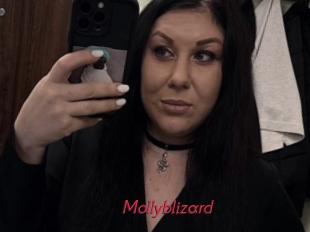 Mollyblizard